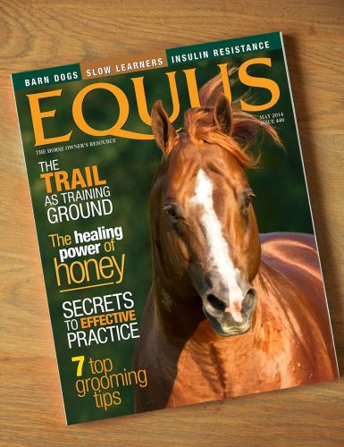 equus2