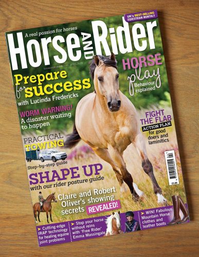 horseandrider
